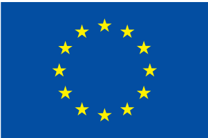 European Flag